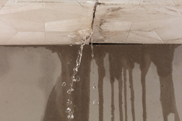 Professional Burst Pipe Cleanup technician working in Ruth, MI
